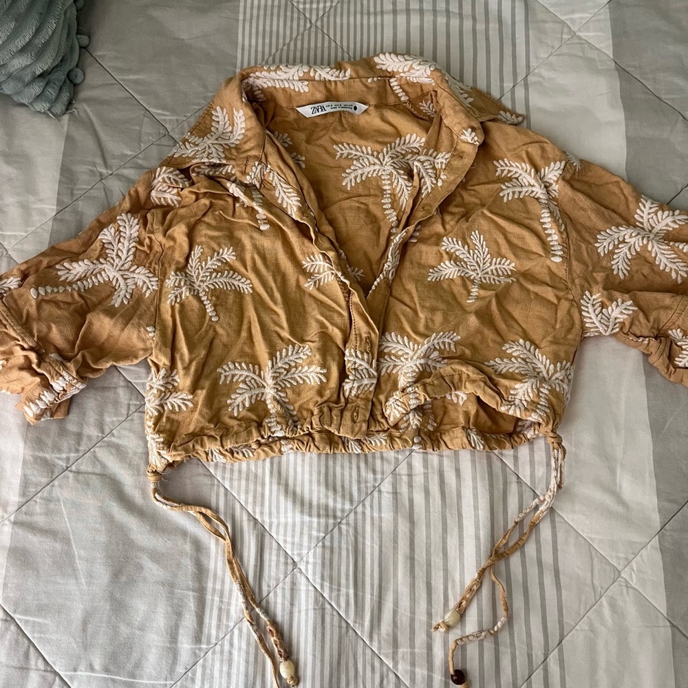 Zara Tan Embroidered Crop Top